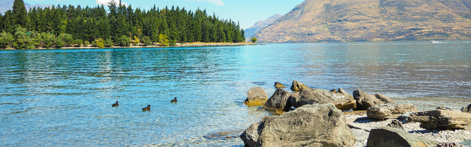 Unique Things to Do in Queenstown